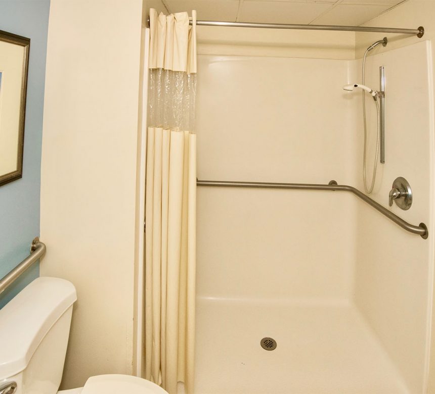 Accessible toilet and shower